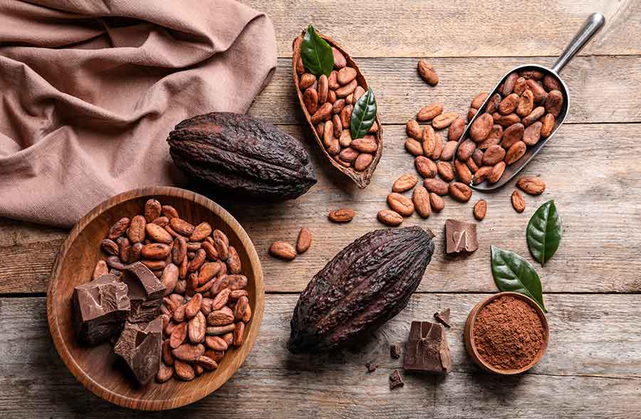 Cacao e dintorni