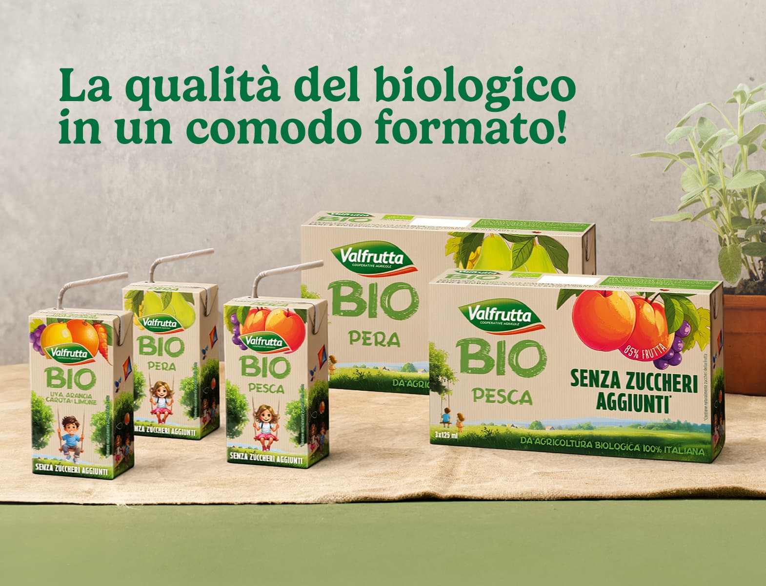 Arrivano i succhi Bio in brick