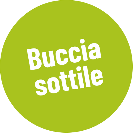 Buccia sottile