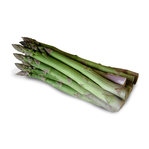 Asparagi