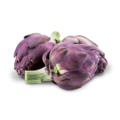 Carciofo Violetto 