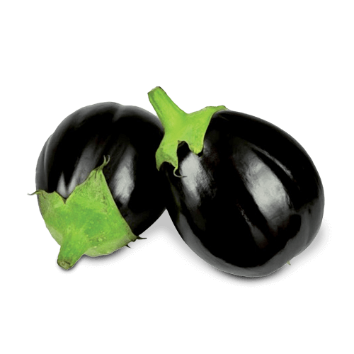 Melanzana Tonda Nera