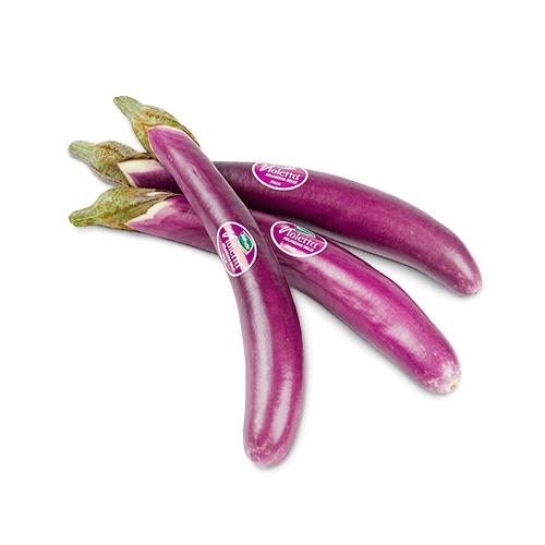 Melanzana Violetta Mini