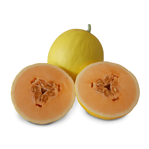 Melone gialletto 