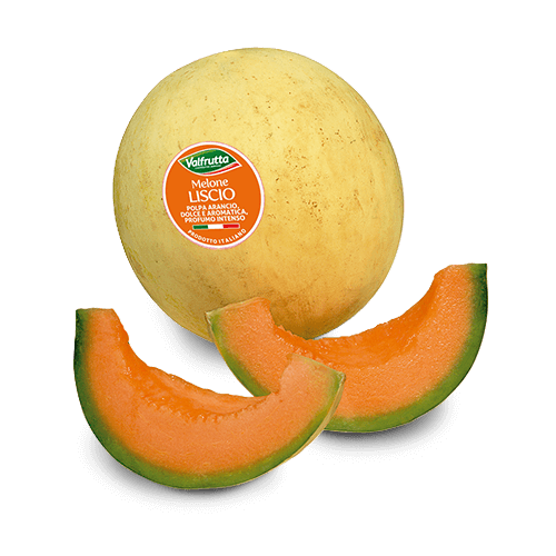 Melone Liscio 