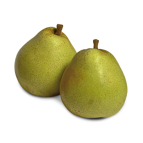 Pera Decana del Comizio