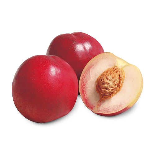 Nettarina a pasta bianca