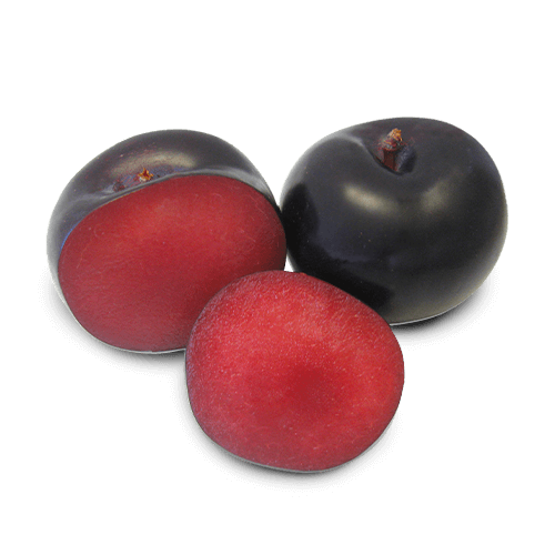 Susina Black Diamond®