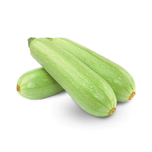 Zucchina chiara