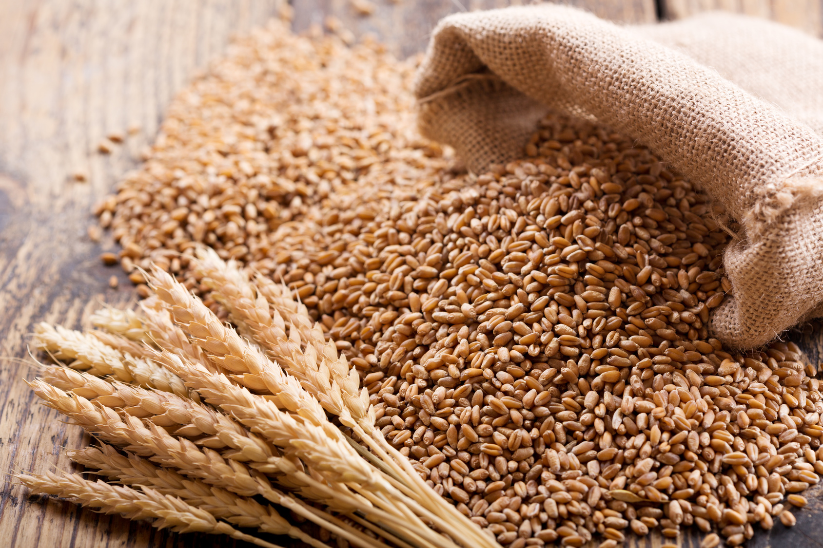 benefici del farro, un cereale poco calorico