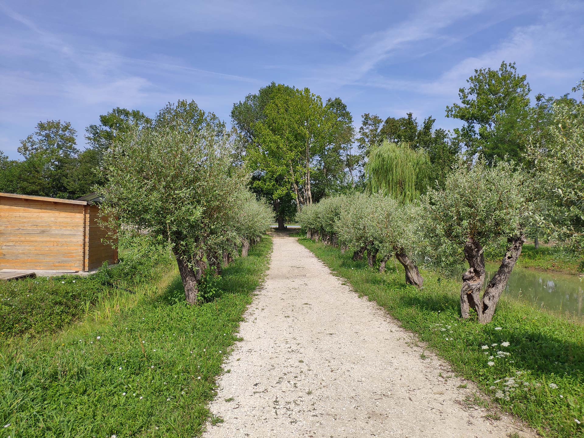 Entrata di Casa di Anna