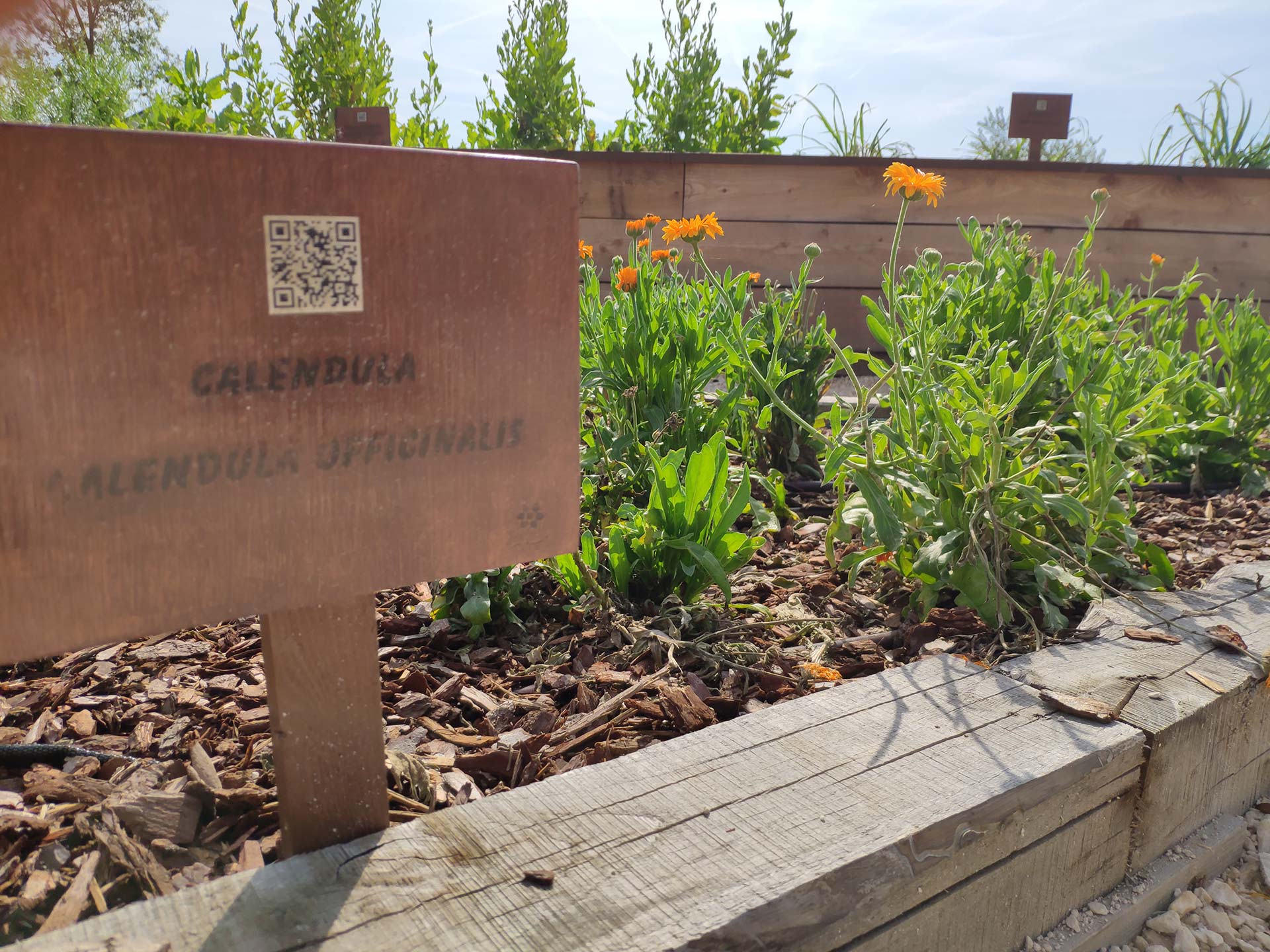 Casa di Anna: orto-giardini tecnologico