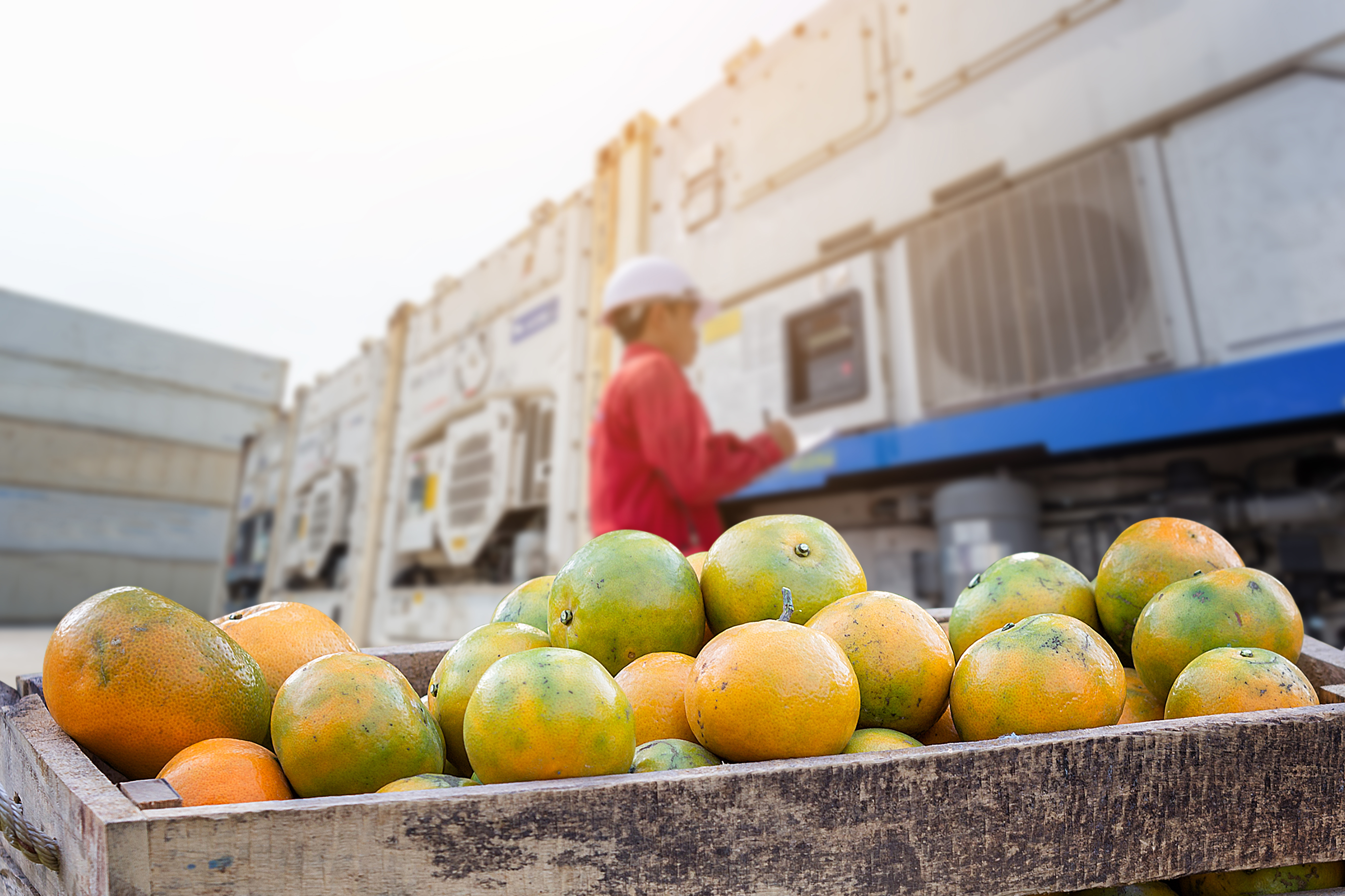 Cos’è la filiera agroalimentare sostenibile?