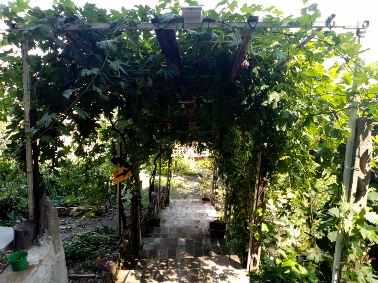 Camminamento coperto Orto Sole
