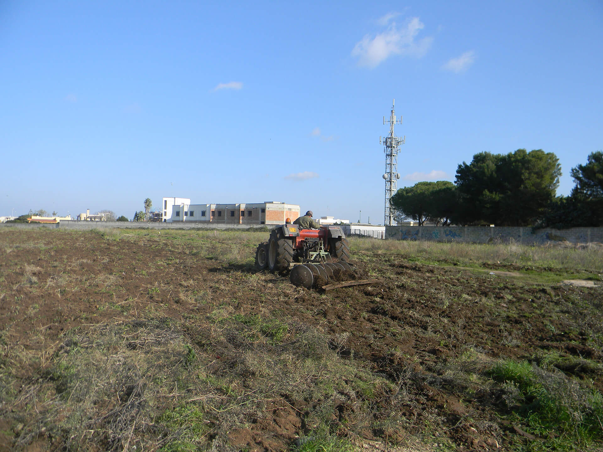 orti Lecce