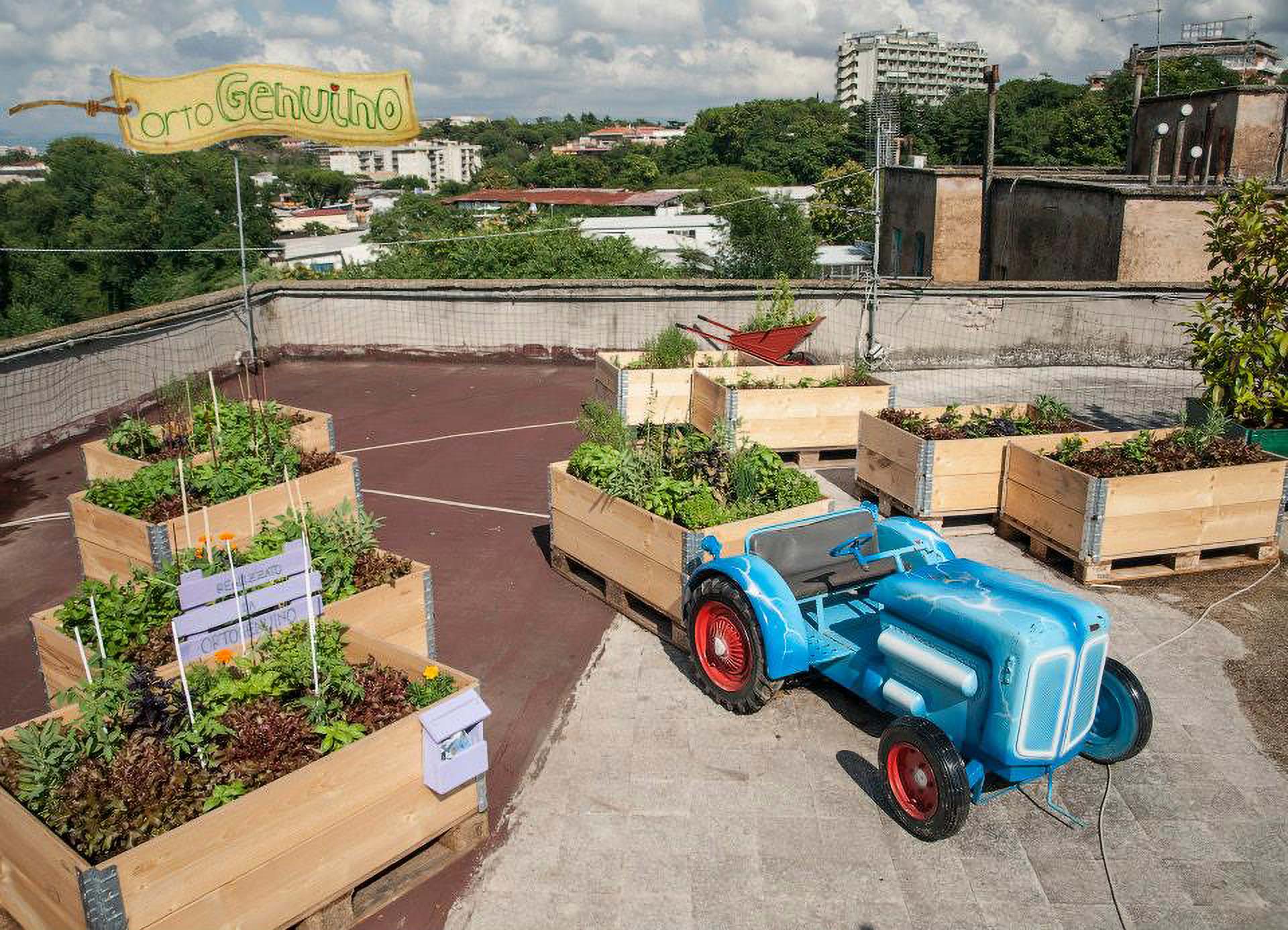 Orto genuino realizza orti urbani sui tetti delle case