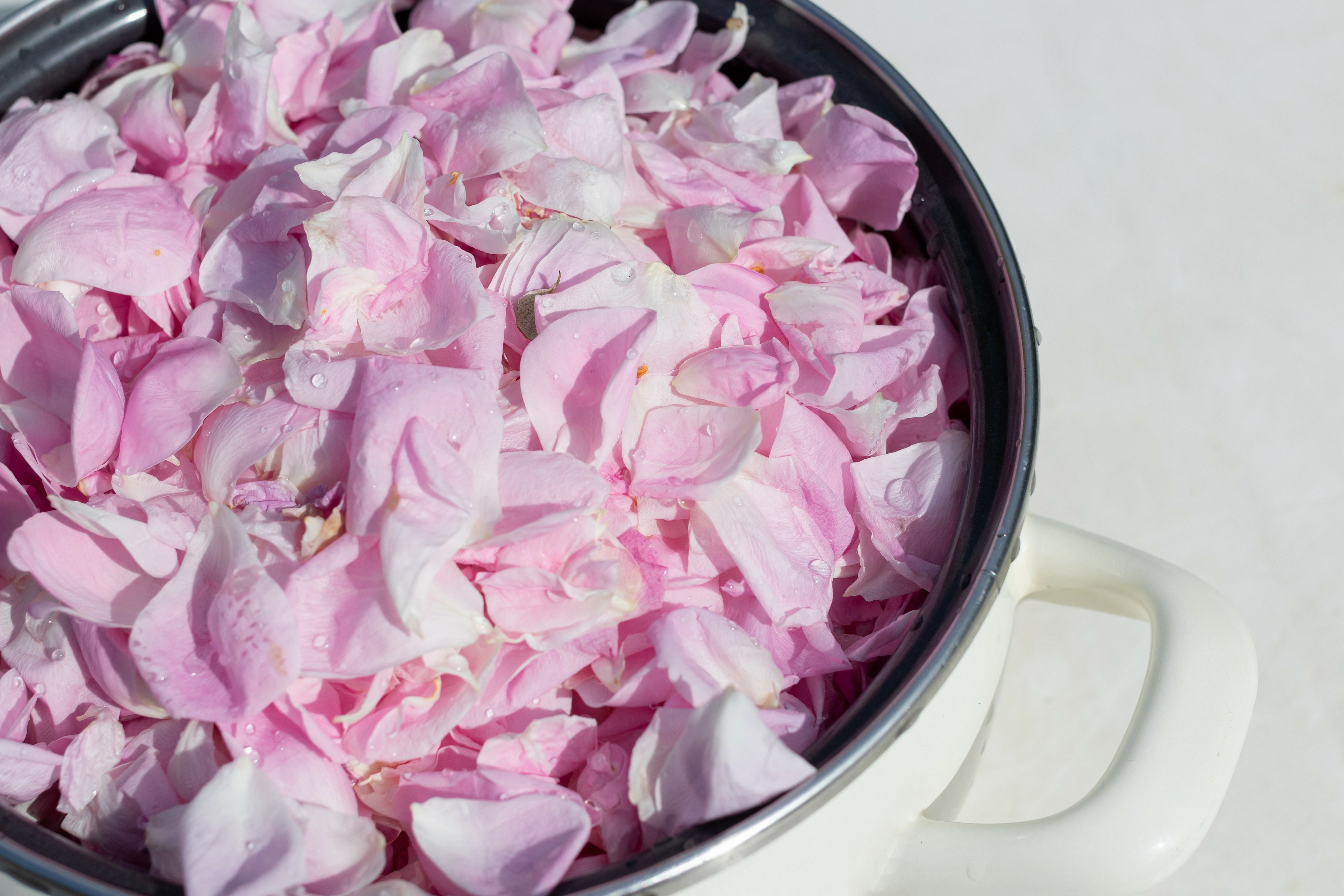Petali di rosa: come utilizzarli in casa e in cucina