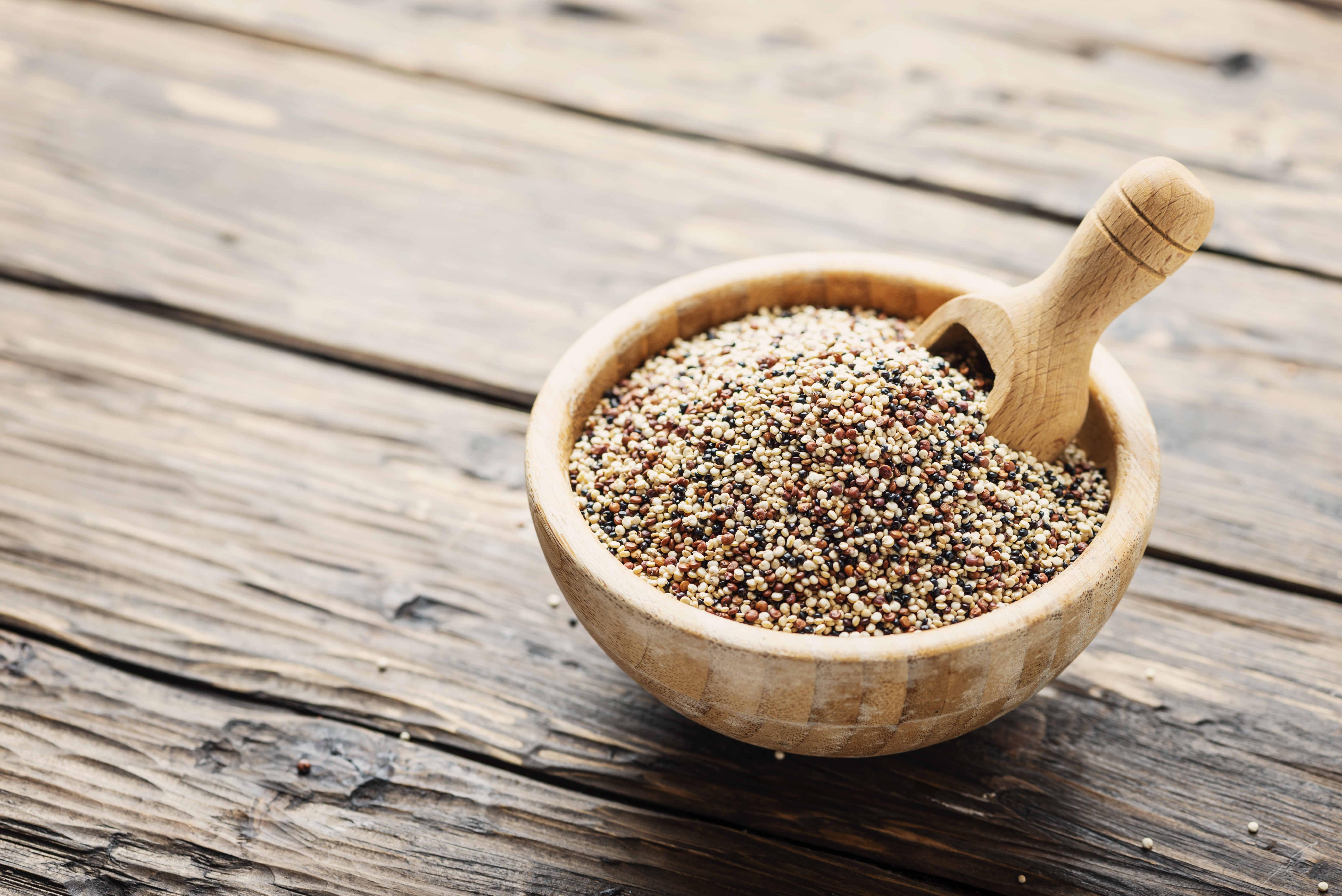 Quinoa, che cos'è e quante varietà esistono