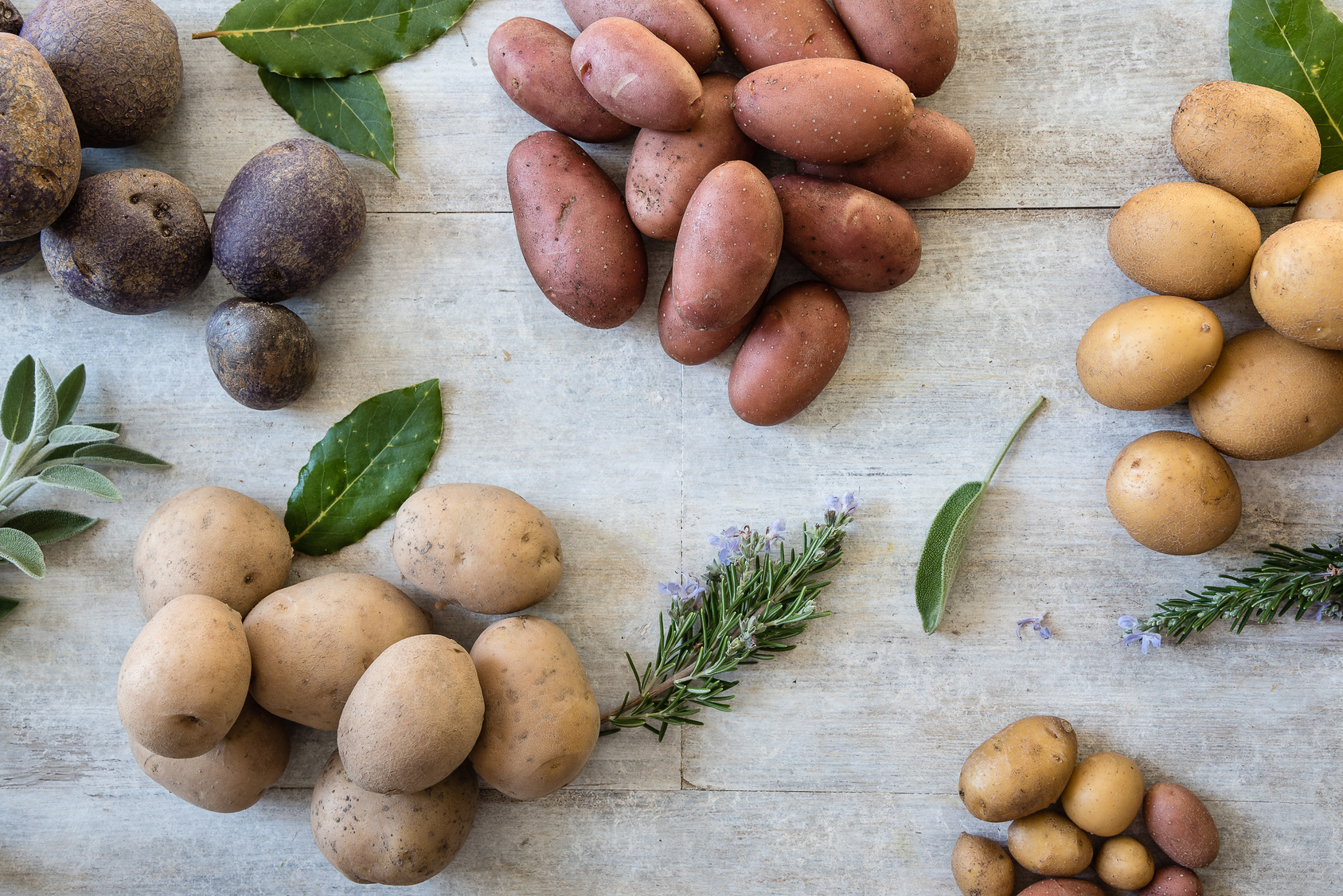 Patata rossa, patata gialla e patata viola