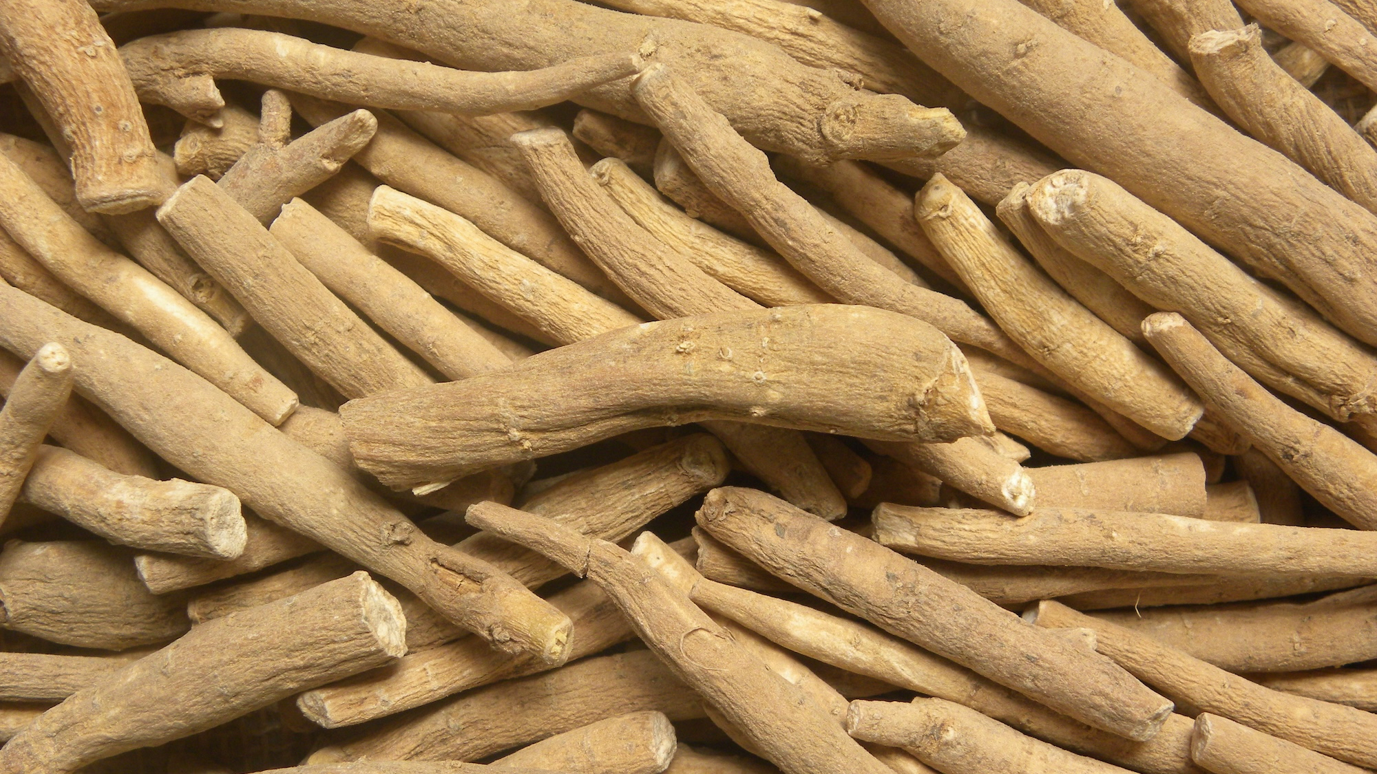 Ashwagandha o ginseng indiano: alla scoperta di proprietà e benefici 