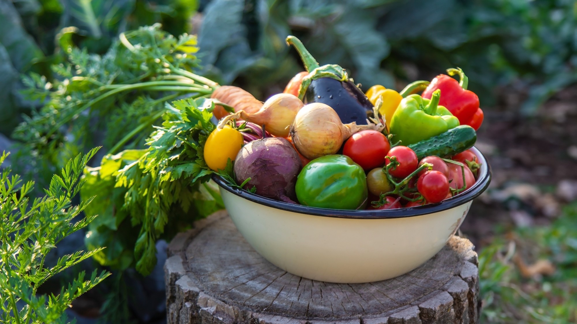 Frutta e verdura: quando ha più senso scegliere bio?