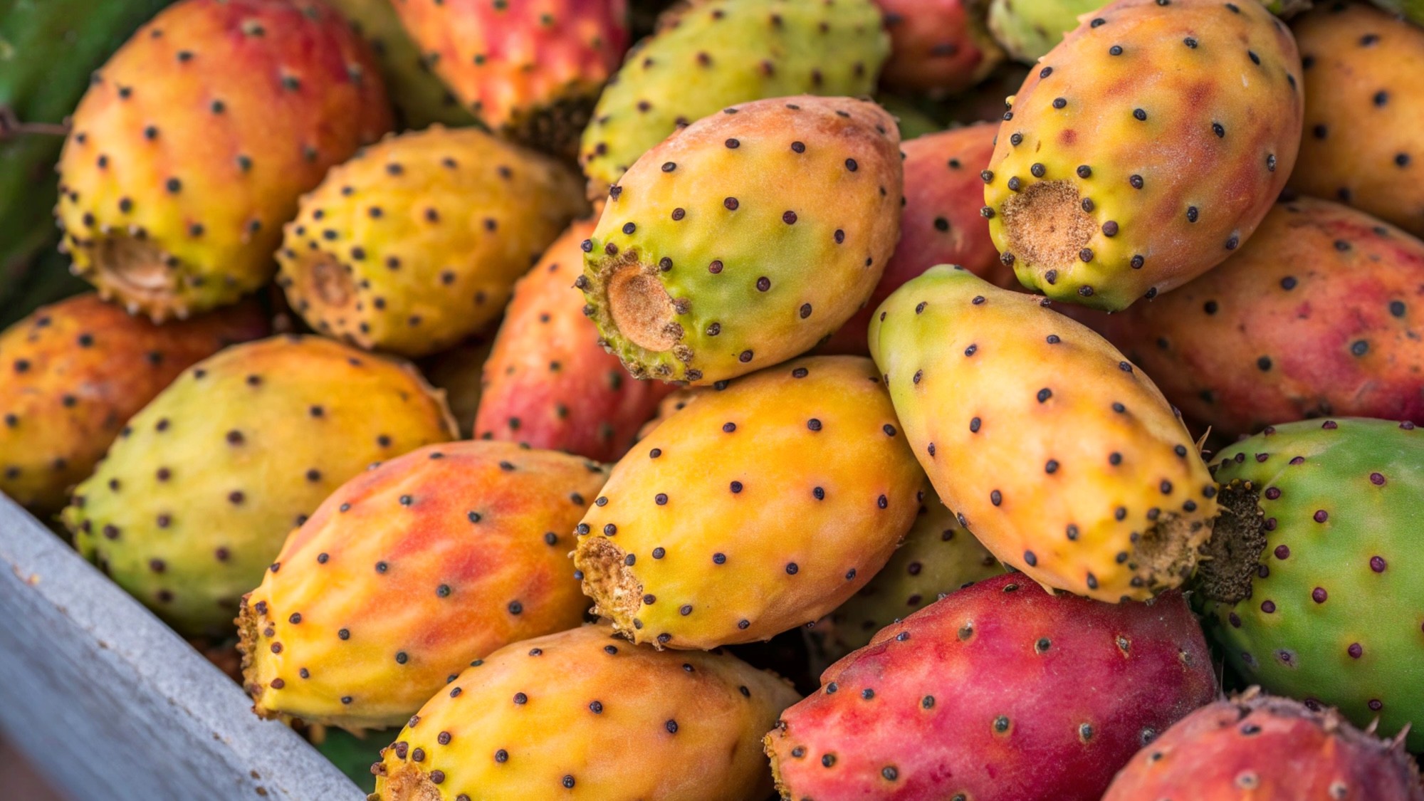 Fichi d’India: proprietà, curiosità e come portarli in tavola a fine estate