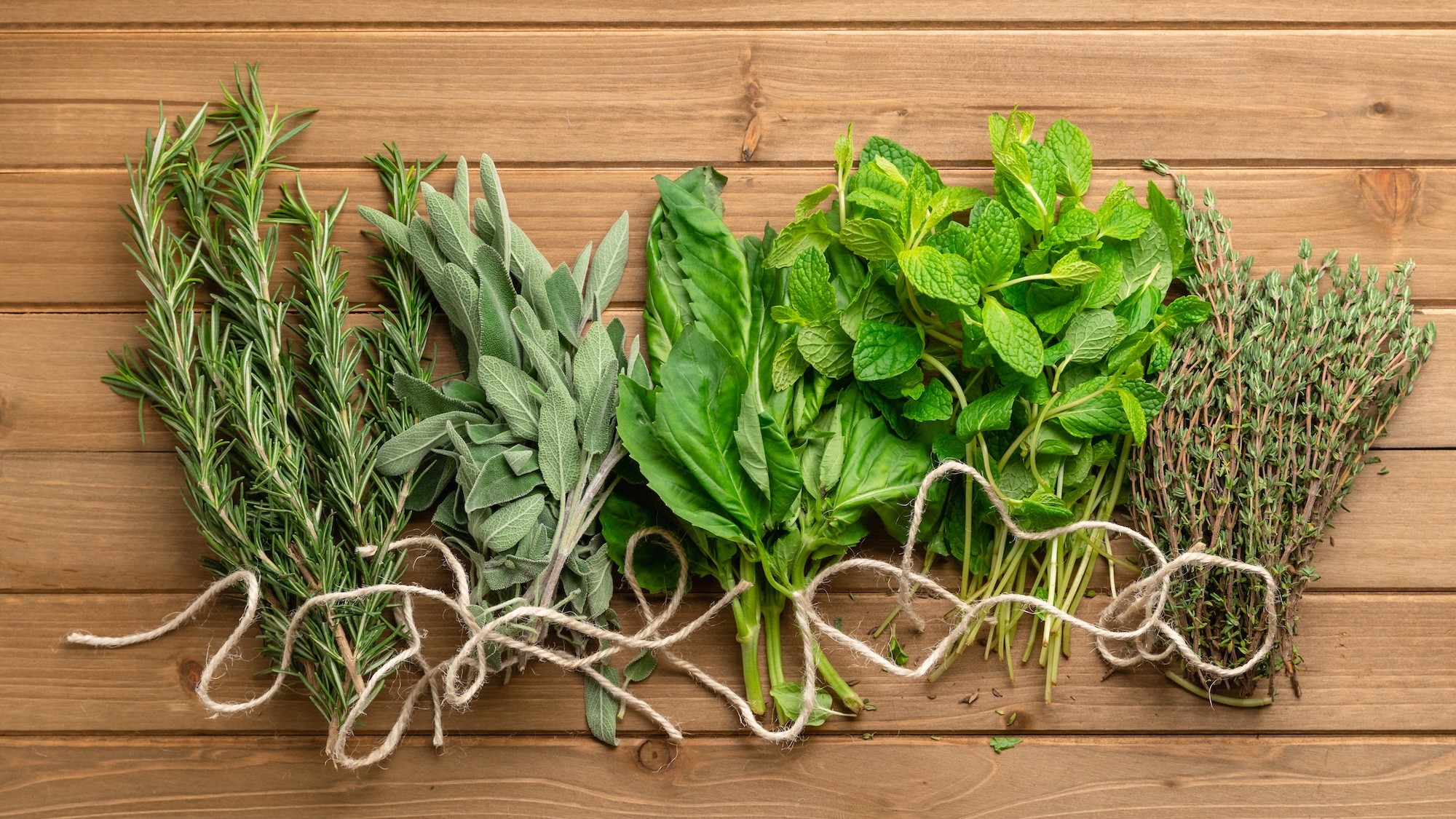 Erbe aromatiche protagoniste: come dare più carattere ai piatti estivi