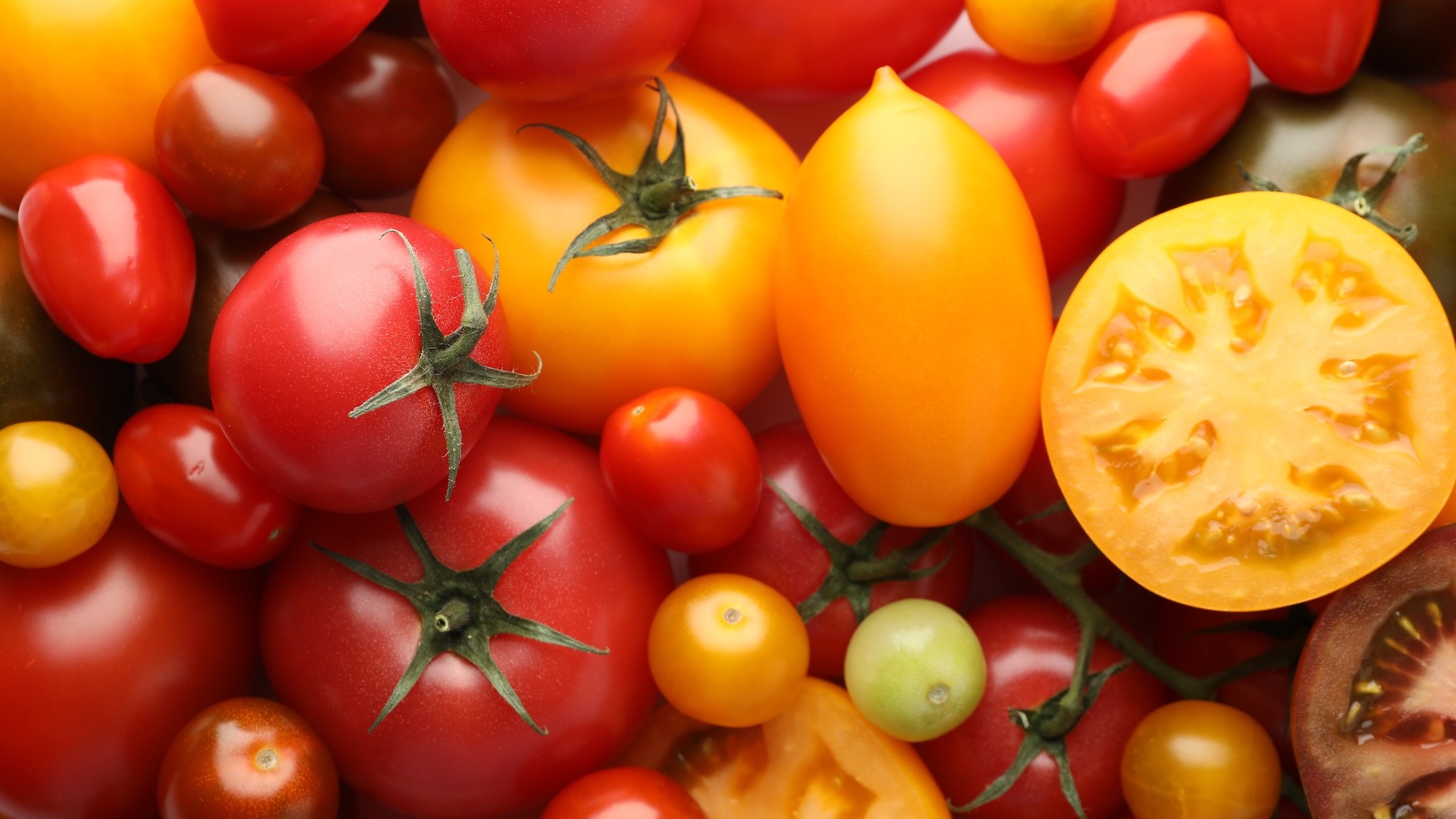 Il pomodoro d’estate oltre la pasta: idee fresche e sorprendenti