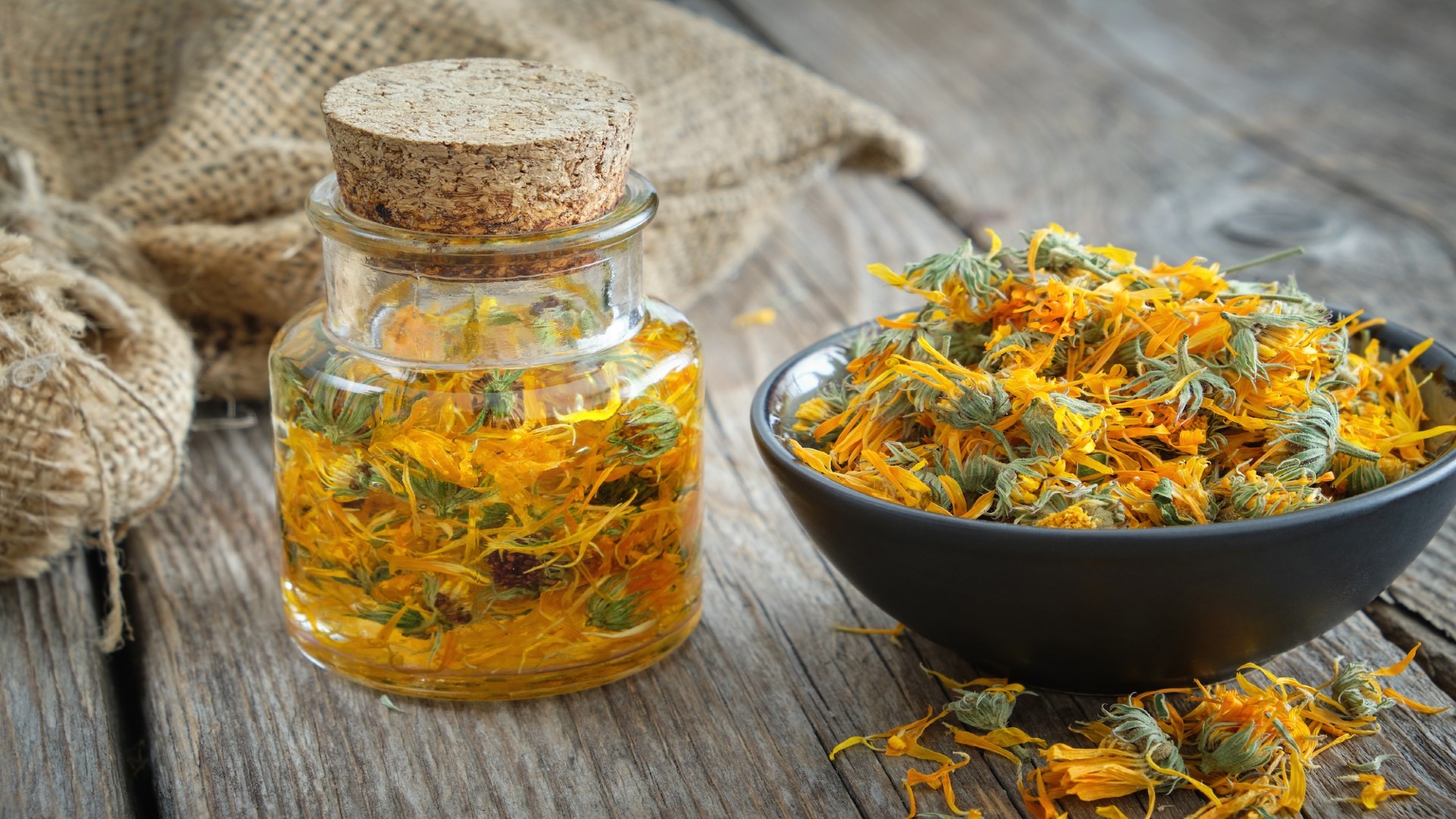 Calendula: tutti i segreti di una pianta medicinale estiva